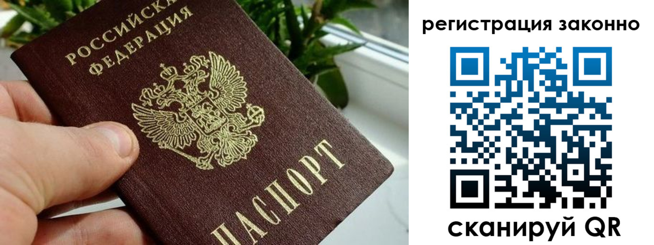 прописка гарантия в Бологом